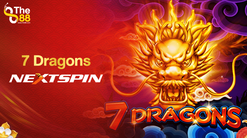 7 dragon