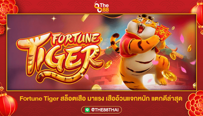 Fortune Tiger สล็อตเสือ มาแรง เสืออ้วนแจกหนัก แตกดีล่าสุด