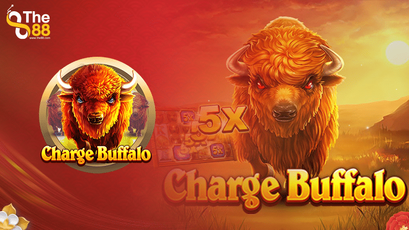 Charge Buffalo