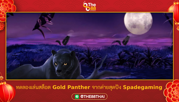 ทดลองเล่นสล็อต Gold Panther จากค่ายสุดปัง Spadegaming